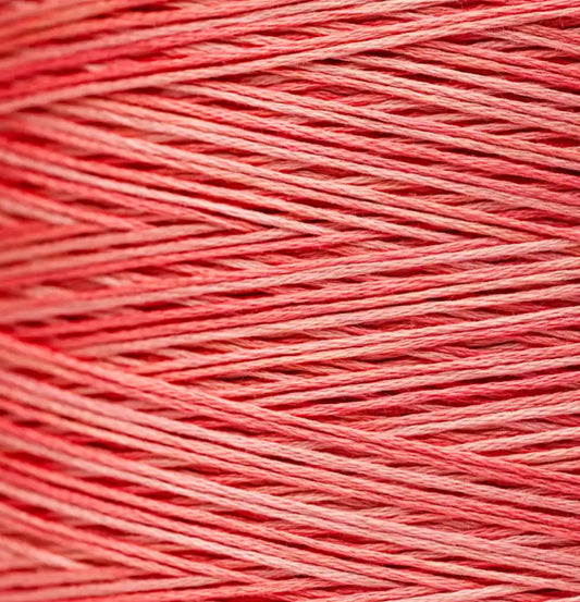 2249 Sockeye