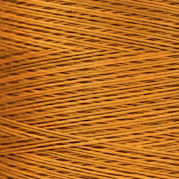 1227a Turmeric