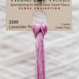 2289 Lavender Rose