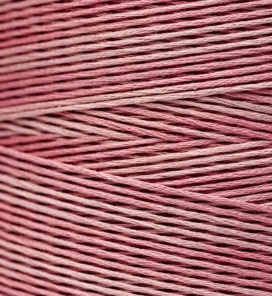2282 Charlotte’s Pink