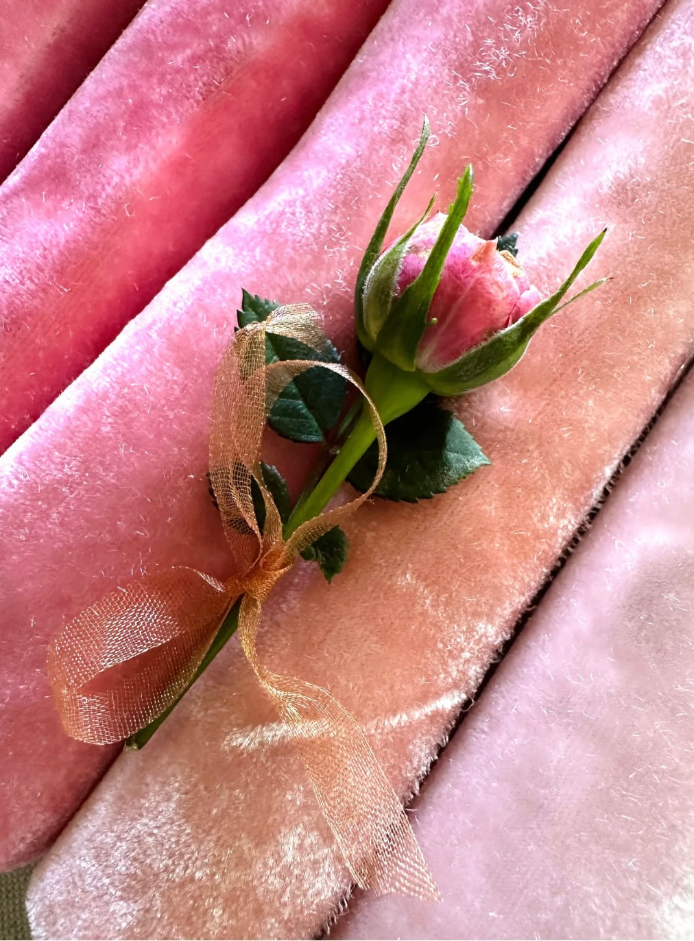Pink Rosebud Hand dyed Silk Velvet Collection from Julie Collings
