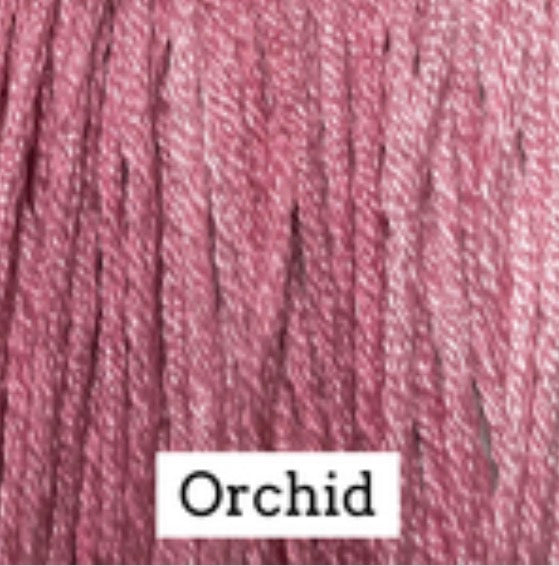 CCS-043 Orchid