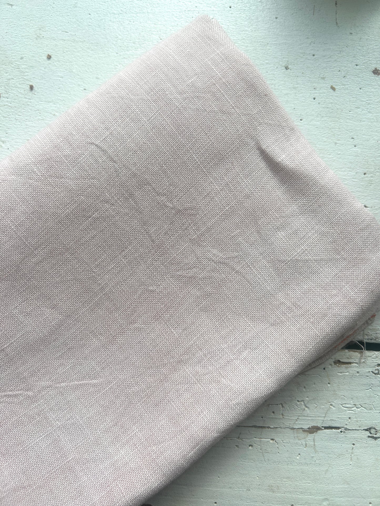 TabbyCat 40ct Pamplemousse