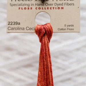 2239a Carolina Cecil
