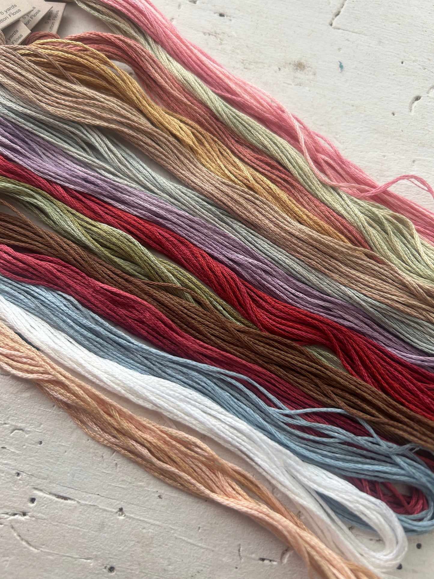 Beatrix Potter inspired Thread collection.